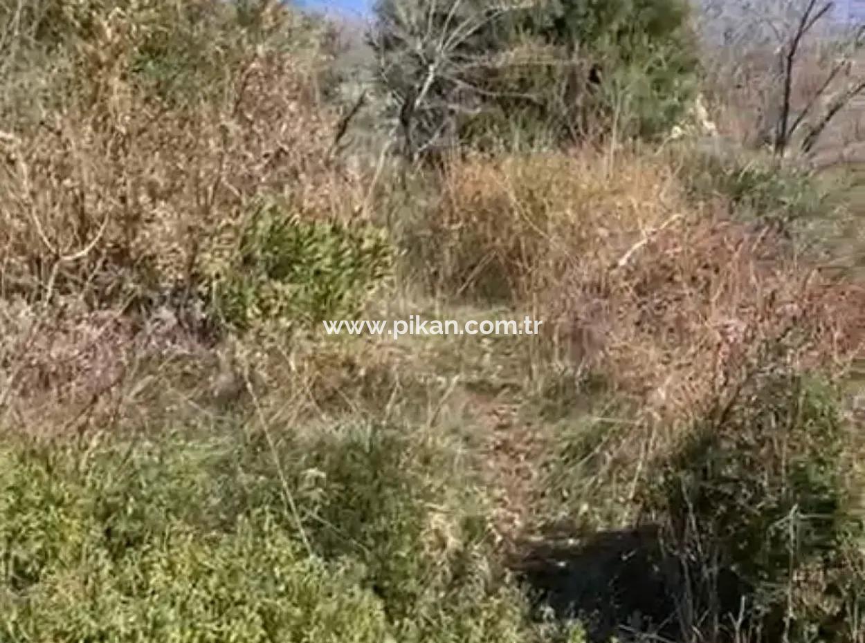 Mugla Menteşe Zeytinköy De 200 M2 Konut İmarlı  406 M2  Arsa Satılık