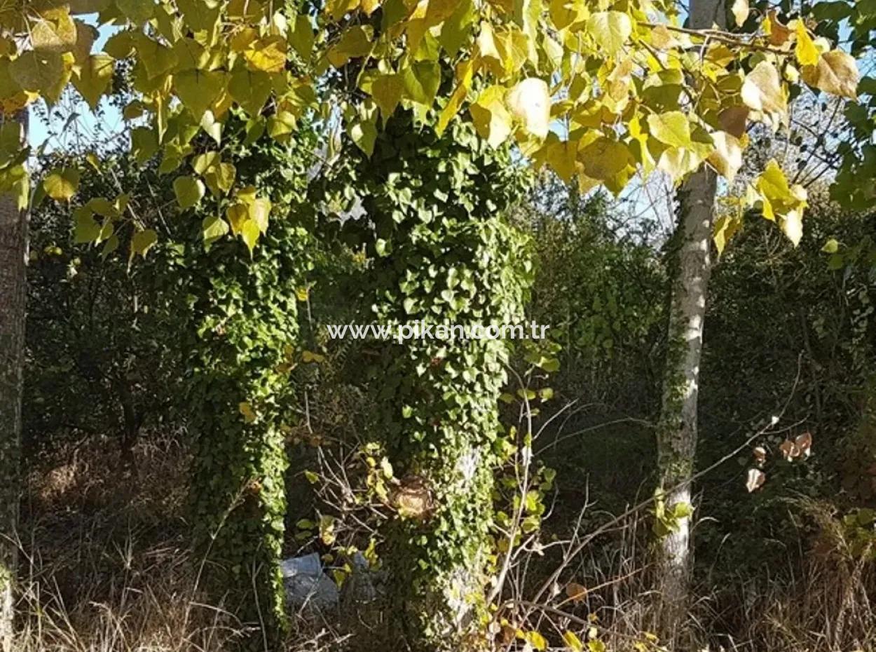 Okçularda Satılık Kelepir Arsa