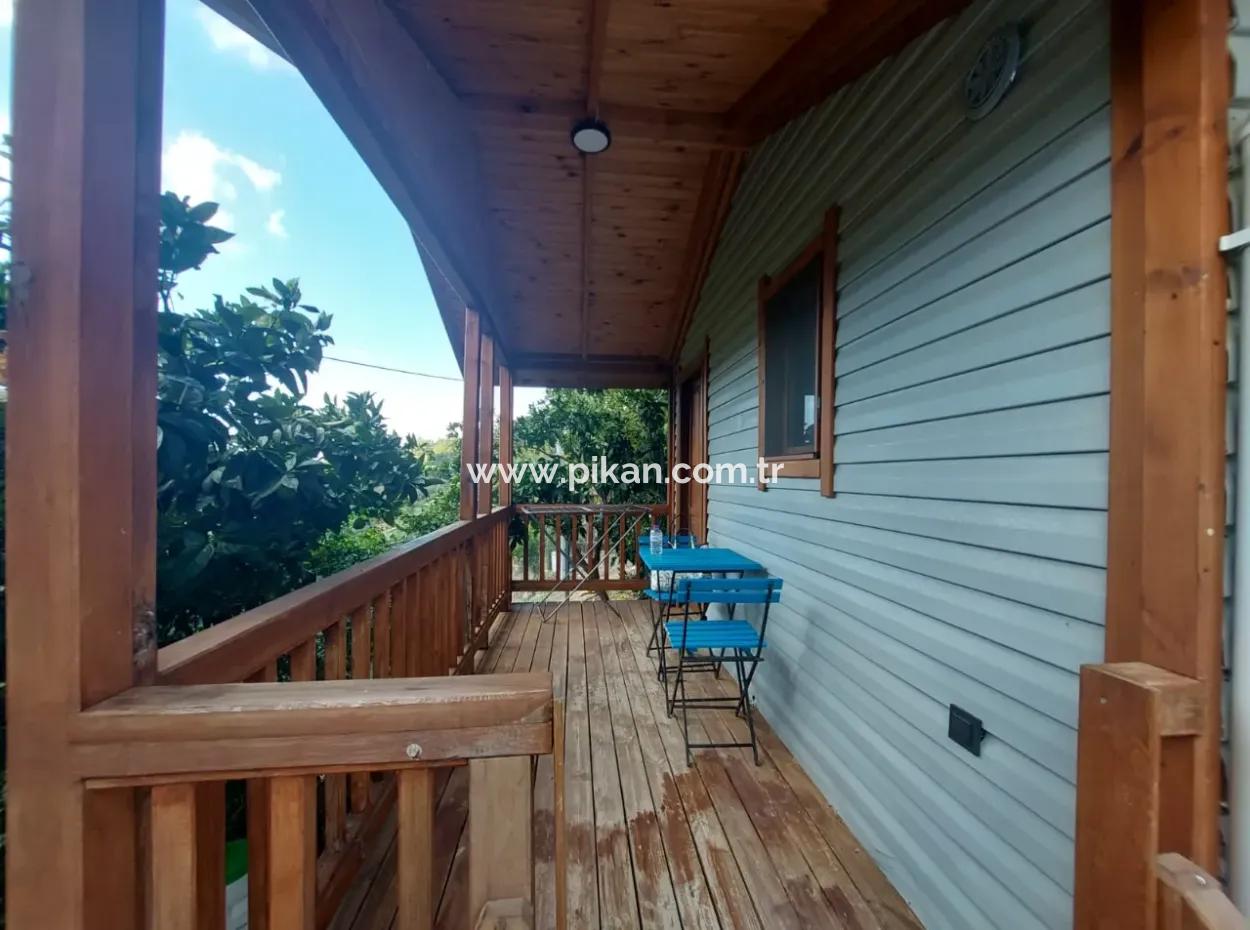 Muğla Ortaca Gökbel  Doga İçinde  Yüzme Havuzlu 1+1 Ahşap Eşyalı Bungalov Kiralık