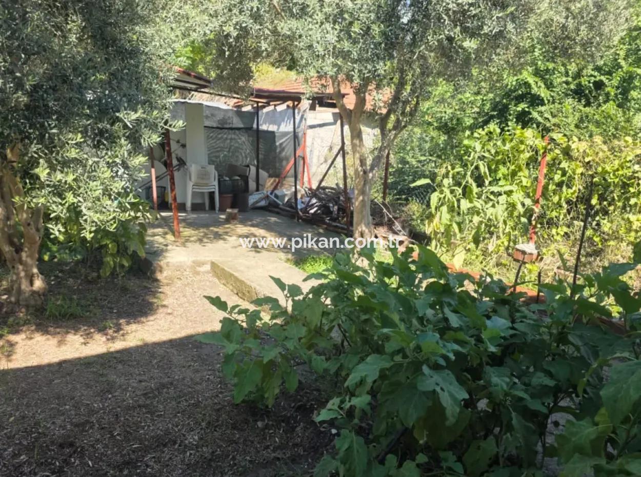 Ortaca Akıncı Sarıgerme Yoluna Sıfır 902 M2 Arsada 2+1, 70 M2 Köy Evi Satılık