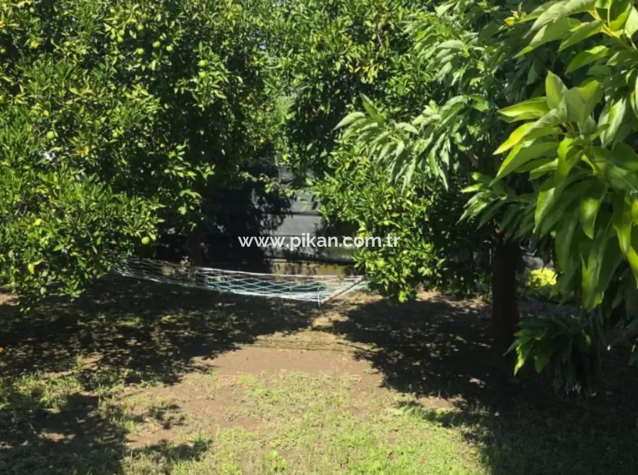 Ortaca Akıncı Sarıgerme Yoluna Sıfır 902 M2 Arsada 2+1, 70 M2 Köy Evi Satılık