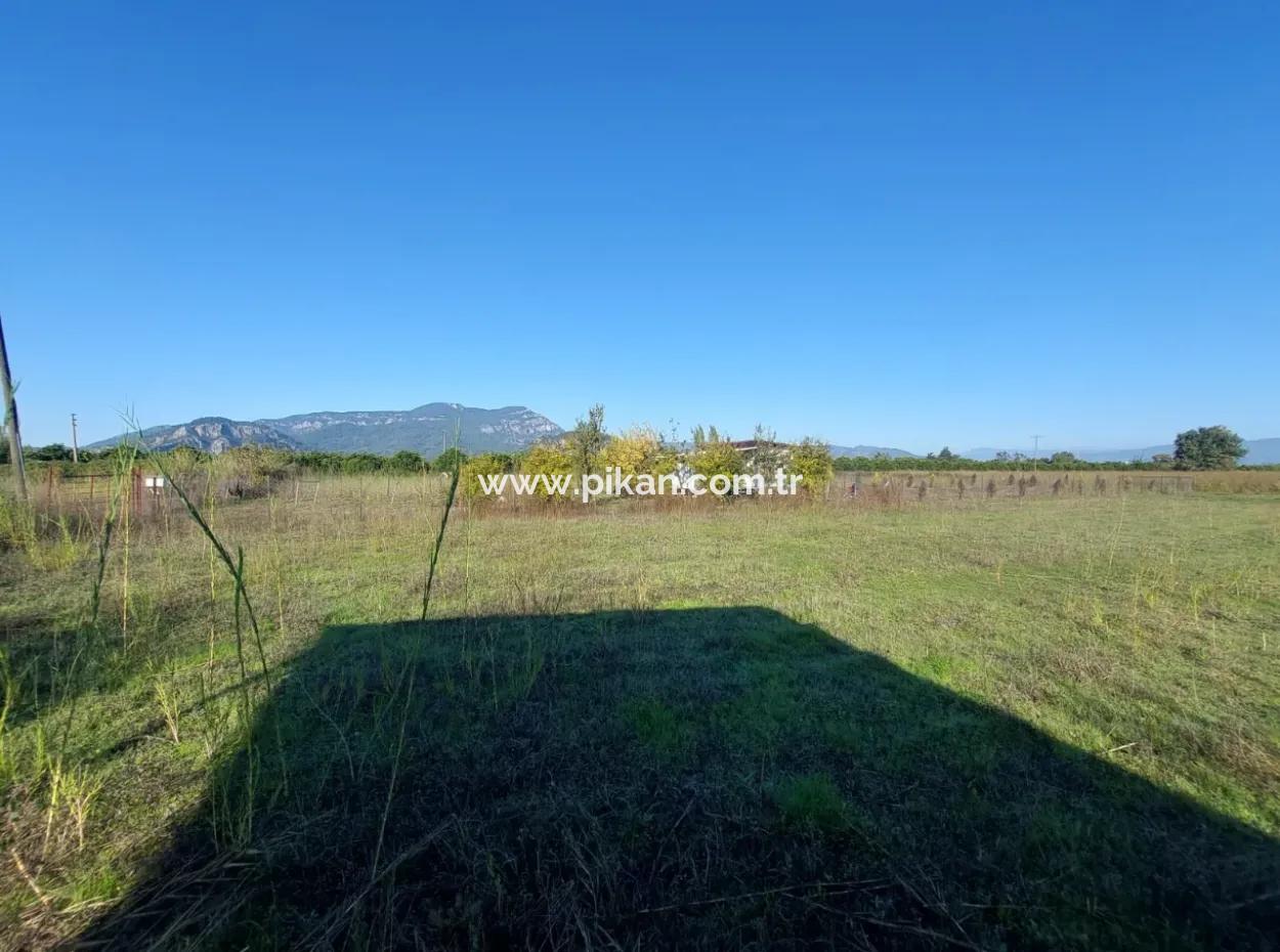 Ortaca Okçular Köşe Parsel  500 M2 Arsa Satılık