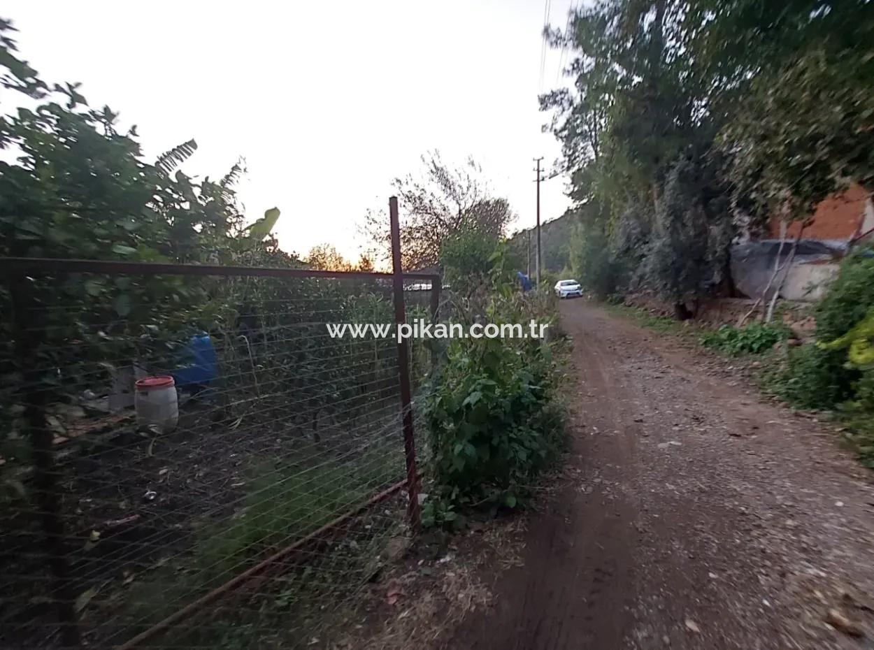 Ortaca Çaylı Da 350 M2 Müstakil Tiny House Uygun Arazi Satılık