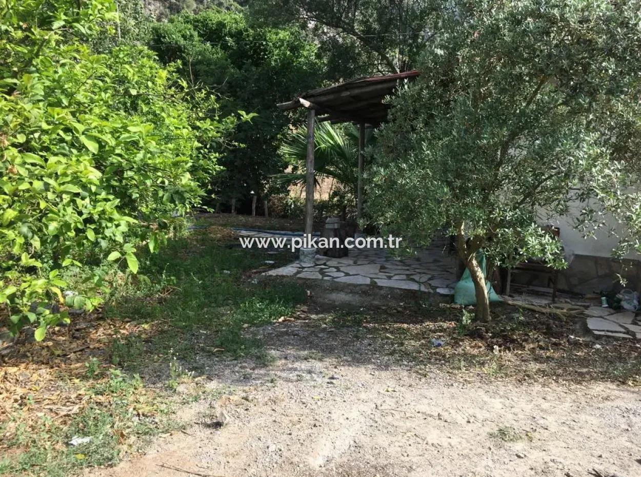 Muğla Ortaca Okçularda Eşyasız Kiralık 2+1 Bahçeli Köy Evi
