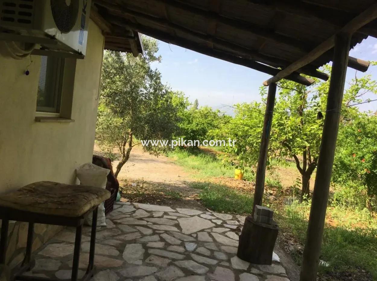 Muğla Ortaca Okçularda Eşyasız Kiralık 2+1 Bahçeli Köy Evi