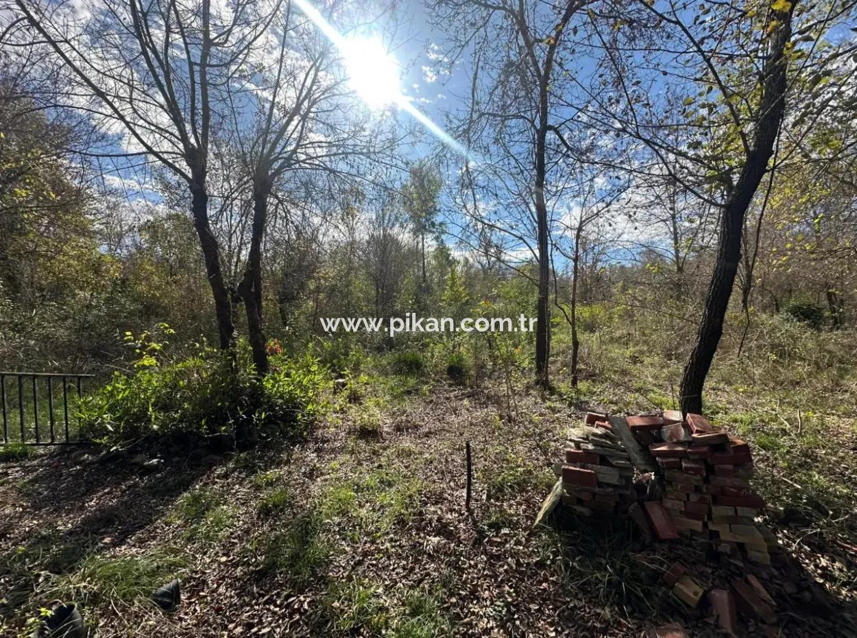 Ortaca Yeşilyurt Da 12 000 M2 Tarla Satılık