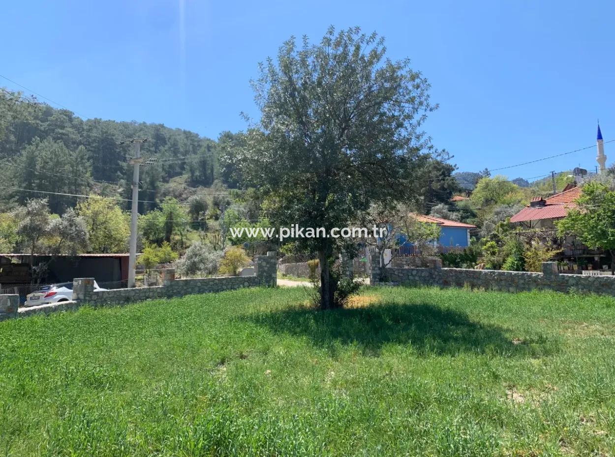 Dalyan Gökbelde 678 M2 Hisse Satılık