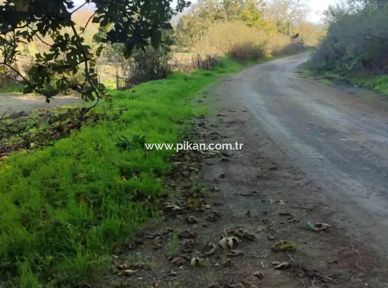 Muğla Ula Karabörtlende Kelepir 6 000 M2 Arazi Satılık