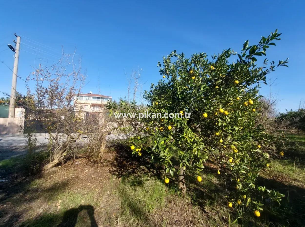 Mugla Dalyan Da 150 M2 İnşaat Hakkı Olan 4 500 M2 Arazi Satılık Veya Dalyan Dan Villa İle Takas