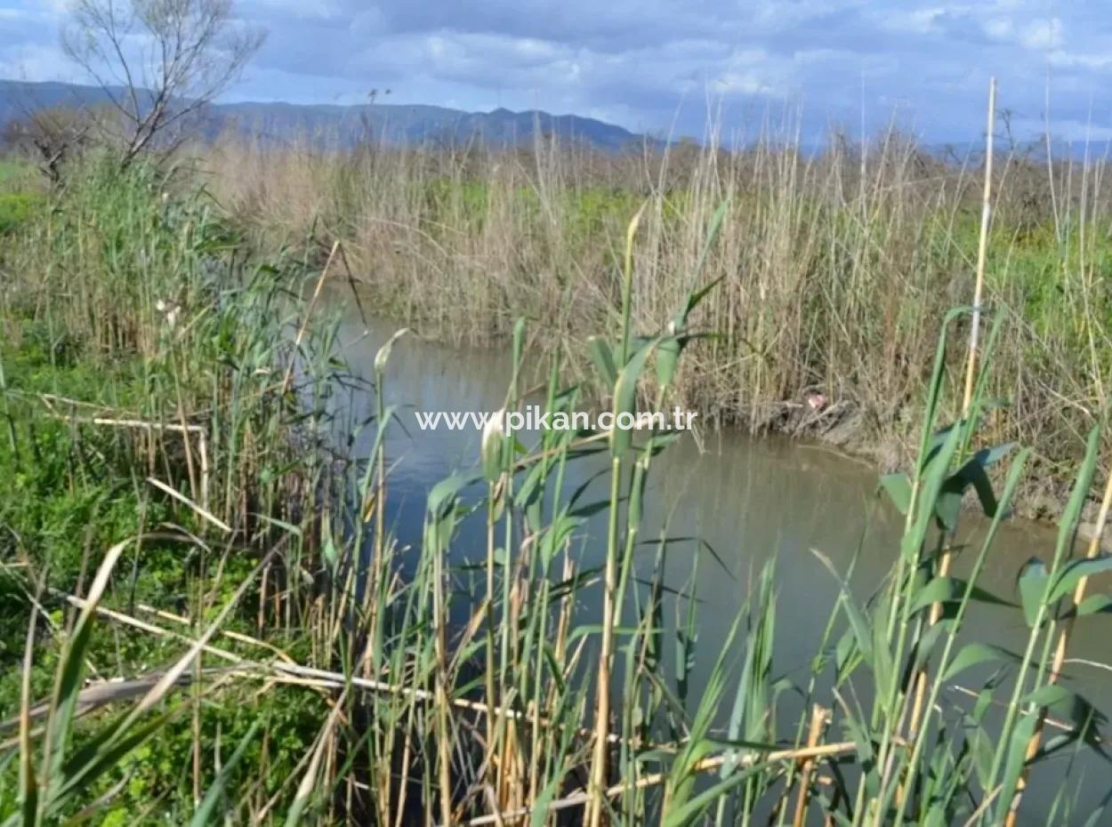 Dalyanda Satılık Müstakil Kelepir Tarla