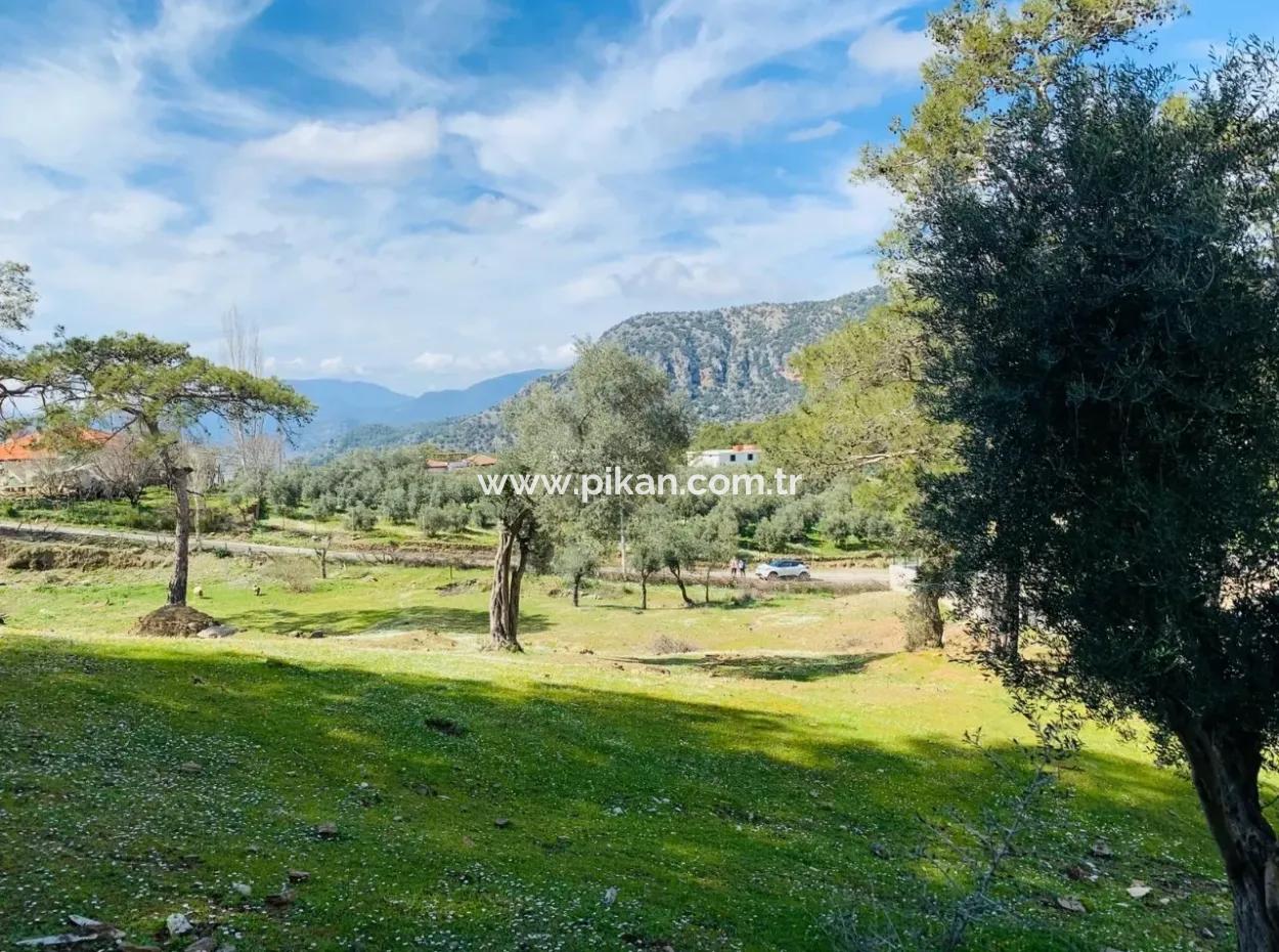 Ortaca Gökbelde Satılık Müstakil Tarla