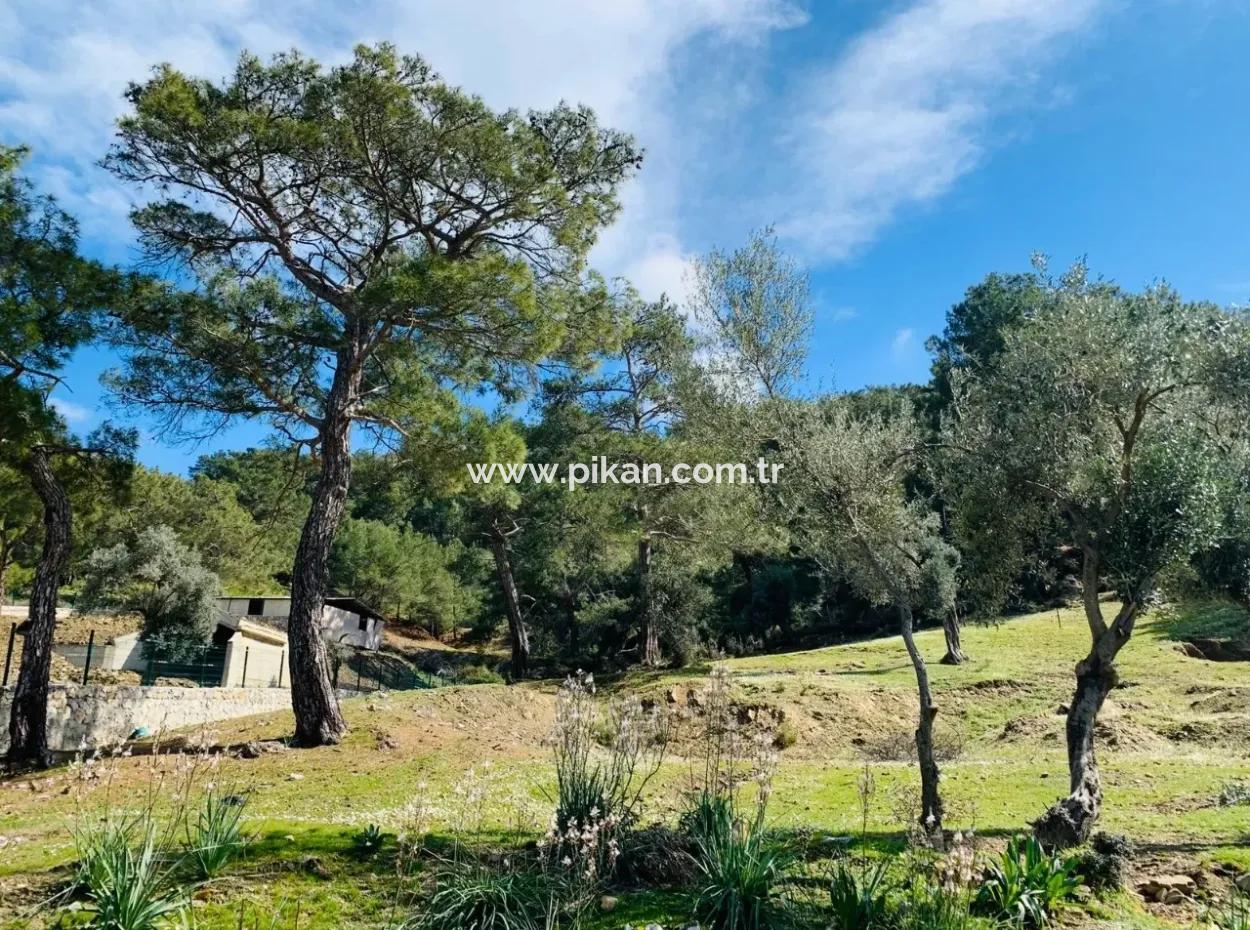 Ortaca Gökbelde Satılık Müstakil Tarla