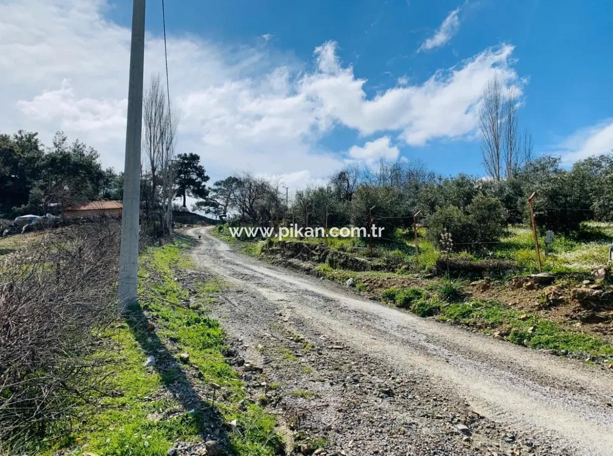 Ortaca Gökbelde Satılık Müstakil Tarla