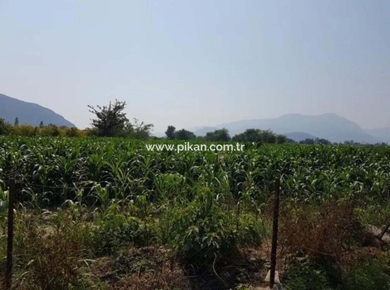 Muğla Ortaca Okçularda Satılık Yatırıma Uygun 3000 M2 Arsa