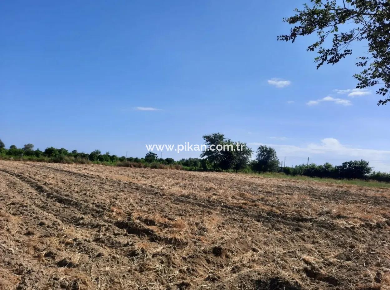 Ortaca Fevziye De Satılık Yola Sıfır Arazi