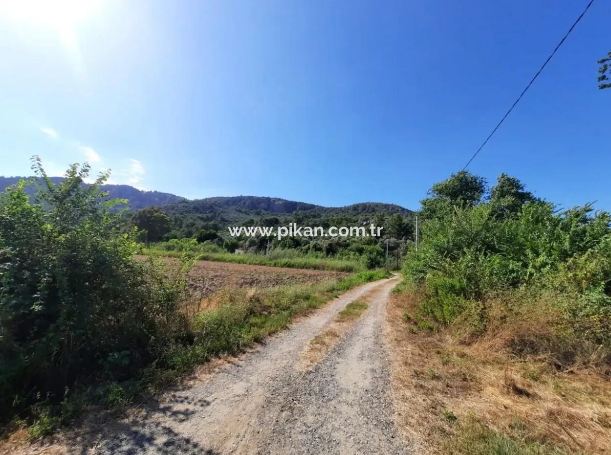 Ortaca Fevziye De Satılık Yola Sıfır Arazi