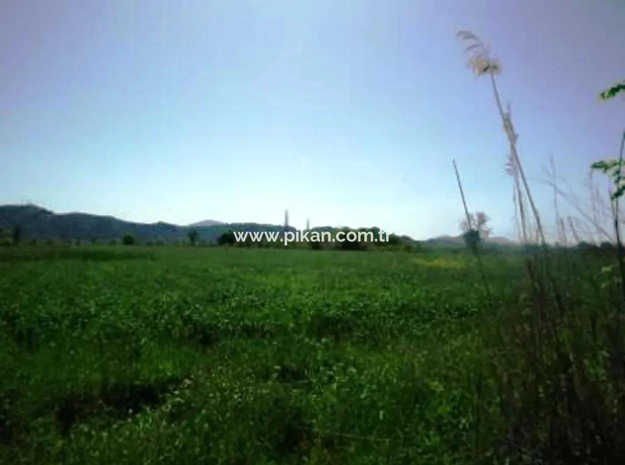 Ortaca Akıncıda 30 000 M2 Verimli Arazi Satılık