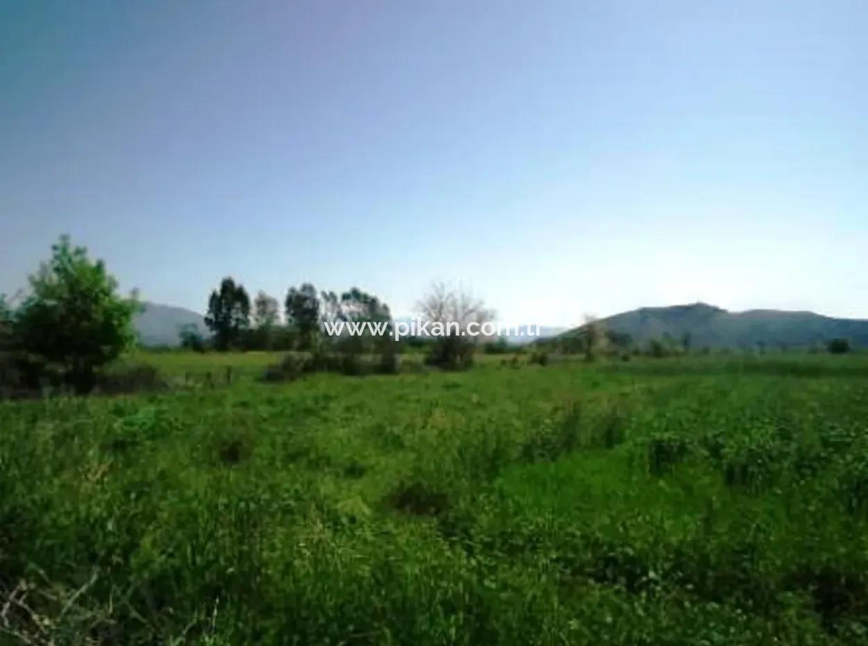 Ortaca Akıncıda 30 000 M2 Verimli Arazi Satılık