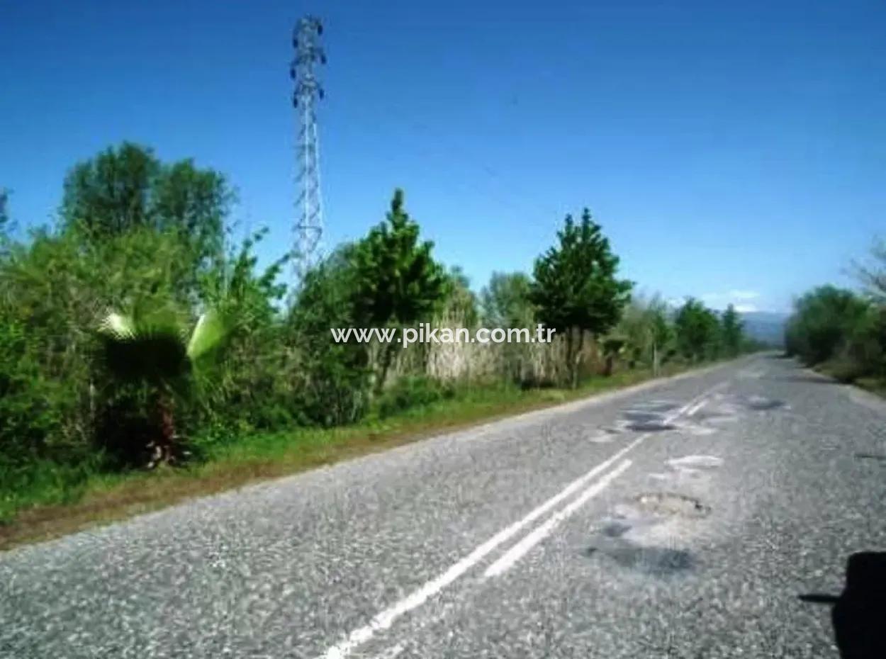 Ortaca Akıncıda 30 000 M2 Verimli Arazi Satılık