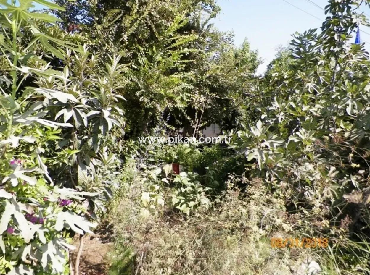 Ortaca Dikmekavakta Satılık Yola Sıfır Köy Evi Ve Arsası