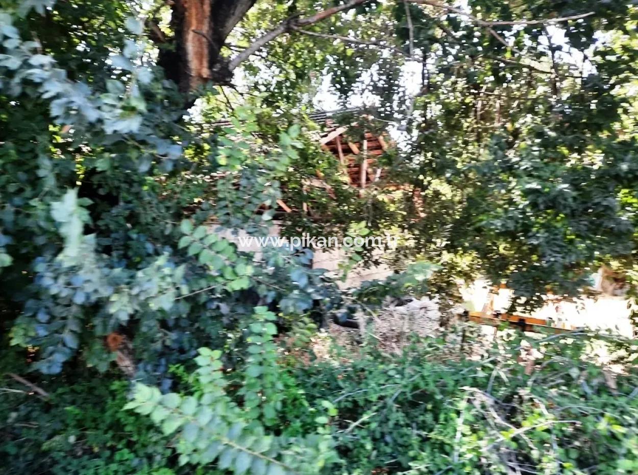 Ortaca Dalaklıda Ana Yola Sıfır Arsa Satılık