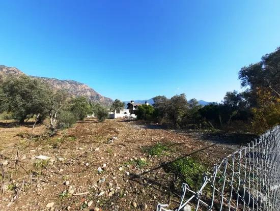 Köyceğiz Toparlarda 2.000 M2 Kelepir Müstakil İmarlı Arsa Satılık