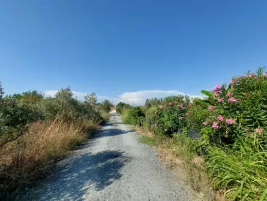 Dalyan Arıkbaşı Mevkiinde İmarlı Arsa Satılık