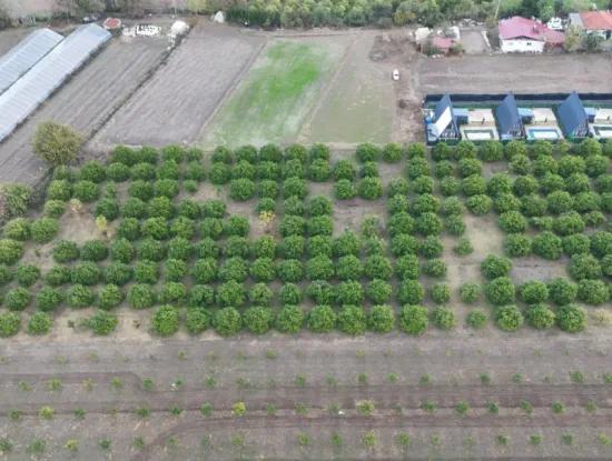 Ortaca Okçularda Yatırıma Uygun İmar Planı İçinde 9750  M2 Arazi Satılık