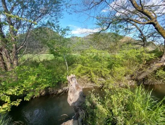 Muğla Ortaca Eskiköyde 12.805 M2 Hisseli Rızai Taksim Olan Tarla Satılık.