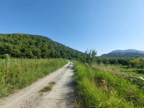 Ortaca Dalyan’da 73,500 M² Yatırıma Uygun Nar Bahçesi Satılık