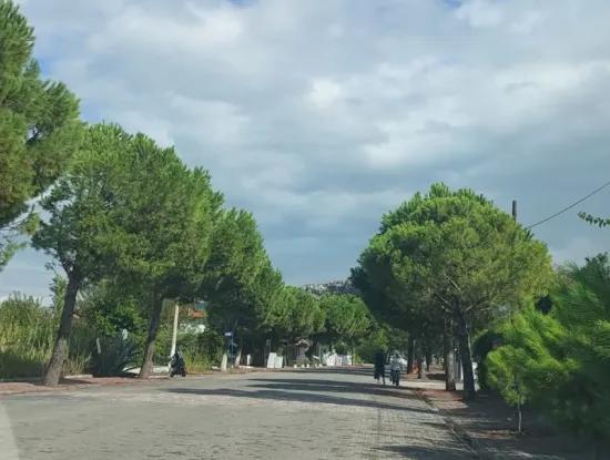 Dalyan Gülpınarda İşlek Caddede 1000 M2 Ticari İmarlı Arsalar Yap İşlet Devret Şeklinde Verilecektir