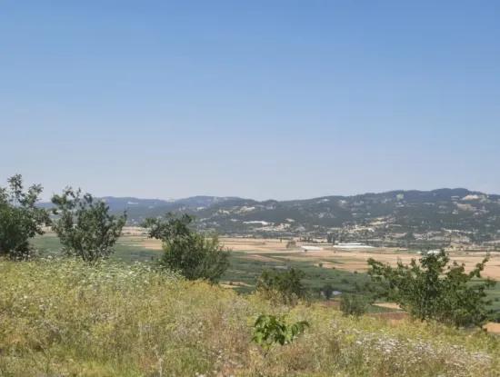 Fethiye, Nif Te, 2 100 M2, Satılık, Kelepir Arazi