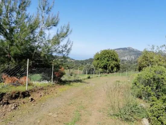Muğla Ortaca Gökbelde 3200 M2 Hisseli Arazi Satılık