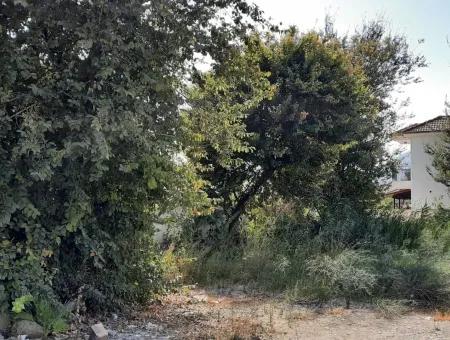 Muğla Dalyanda 500 M2 İmarlı Kelepir Arsa Satılık