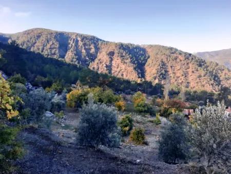 Muğla Dalaman Narlıda Satılık 1800 M2 Kelepir Arazi