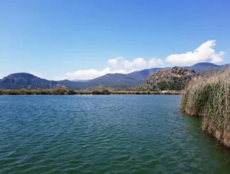 Muğla Dalyanda Satılık Kanala Sıfır Yatırıma Uygun Nar Bahçesi