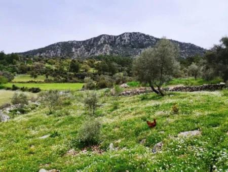 Fethiye Göcek Taşbaşında Satılık Doğa İçinde Müstakil Köy Evi