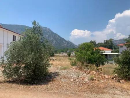 Muğla Ortaca Mergenlide 417 M2 İmarlı Projesi Hazır Arsa Satılık