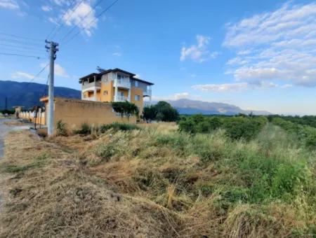 Köyceğiz Toparlarda 3500 M2 Portakal Ve Mandalina Bahçesi Satılık