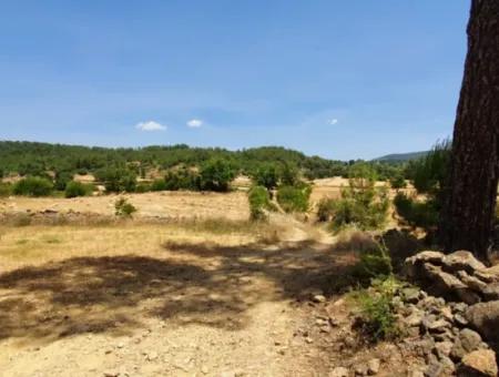 Muğla Menteşe Denizovada 1869 M2 Kelepir Tarla Satılık