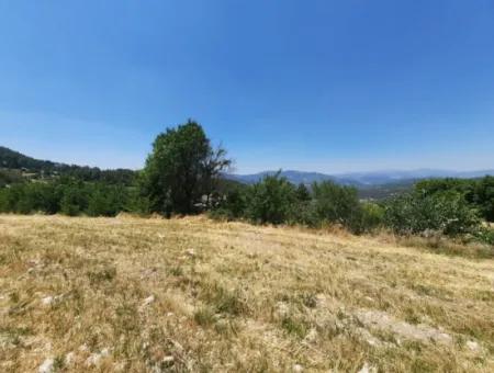 Denizli Çameli Gökçeyakada 2762 M2 Müstakil Arazi Satılık