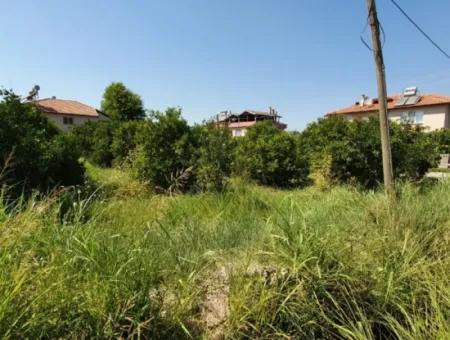 Muğla Ortaca Dikmekavak Mahallesinde 1063 M2 İmarlı Arsa Satılık