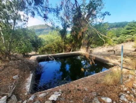 Muğla Dalyan Gökbelde 320 M2 Kelepir Arazi Satılık