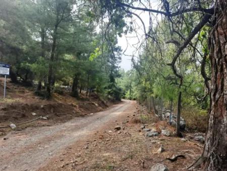 Muğla Dalyan Gökbelde 320 M2 Kelepir Arazi Satılık