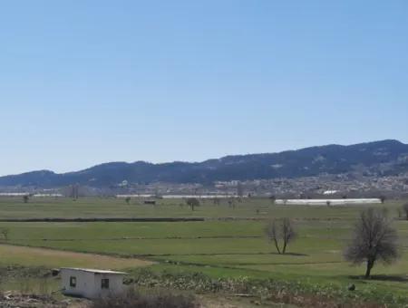 Çameli Belevide 5 000 M2 Müstakil Tapulu Yatırma Uygun Kelepir Tarla Satılık