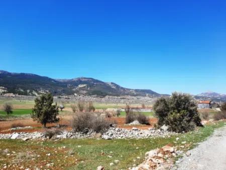 Çameli Belevide 5 000 M2 Müstakil Tapulu Yatırma Uygun Kelepir Tarla Satılık