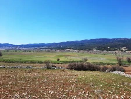 Çameli Belevide 5 000 M2 Müstakil Tapulu Yatırma Uygun Kelepir Tarla Satılık