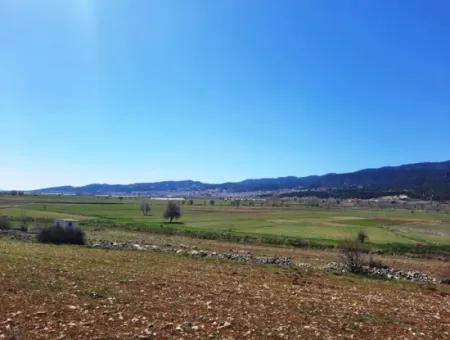 Çameli Belevide 5 000 M2 Müstakil Tapulu Yatırma Uygun Kelepir Tarla Satılık