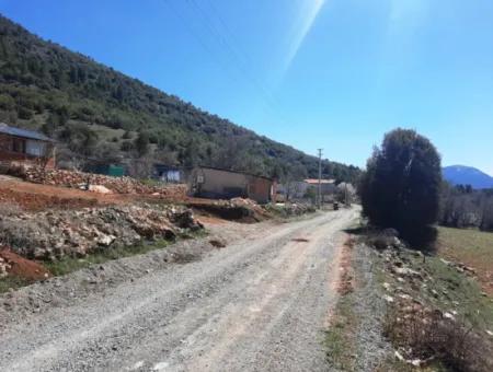 Çameli Belevide 5 000 M2 Müstakil Tapulu Yatırma Uygun Kelepir Tarla Satılık