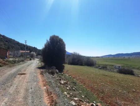 Çameli Belevide 5 000 M2 Müstakil Tapulu Yatırma Uygun Kelepir Tarla Satılık